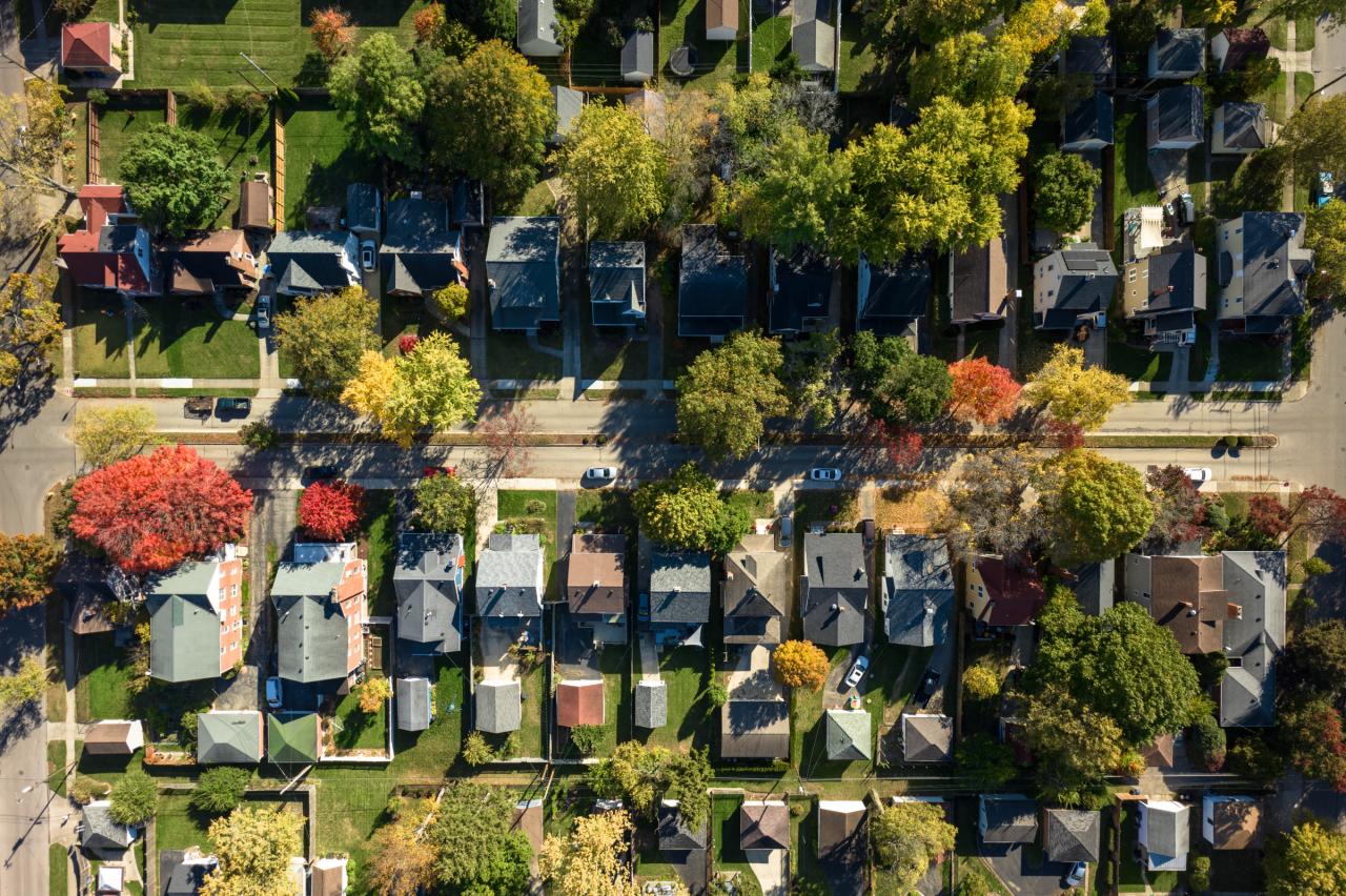 Aerial View of a Tree-Lined Neighborhood